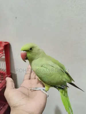 Want to sell