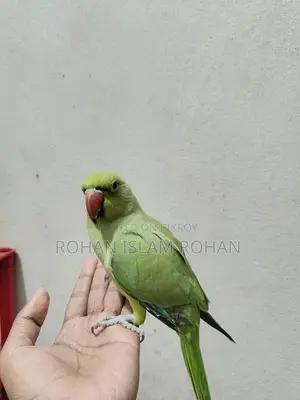 Want to sell