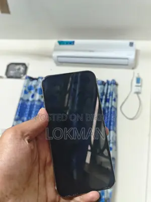 Apple iPhone 15 Pro Max 256GB (Used)