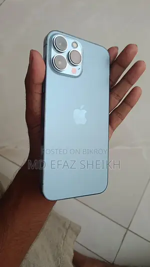 Apple iPhone 13 Pro Max (Used)
