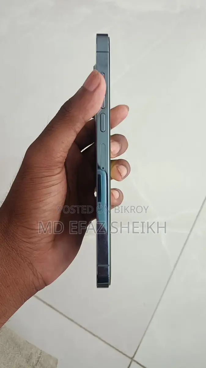 Apple iPhone 13 Pro Max (Used)