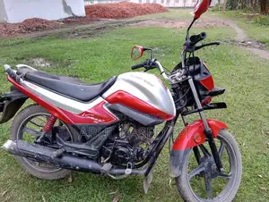 Hero Ismart 2019