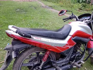 Hero Ismart 2019