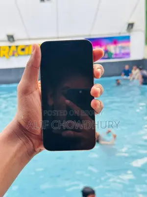 Apple iPhone 12 Pro (Used)