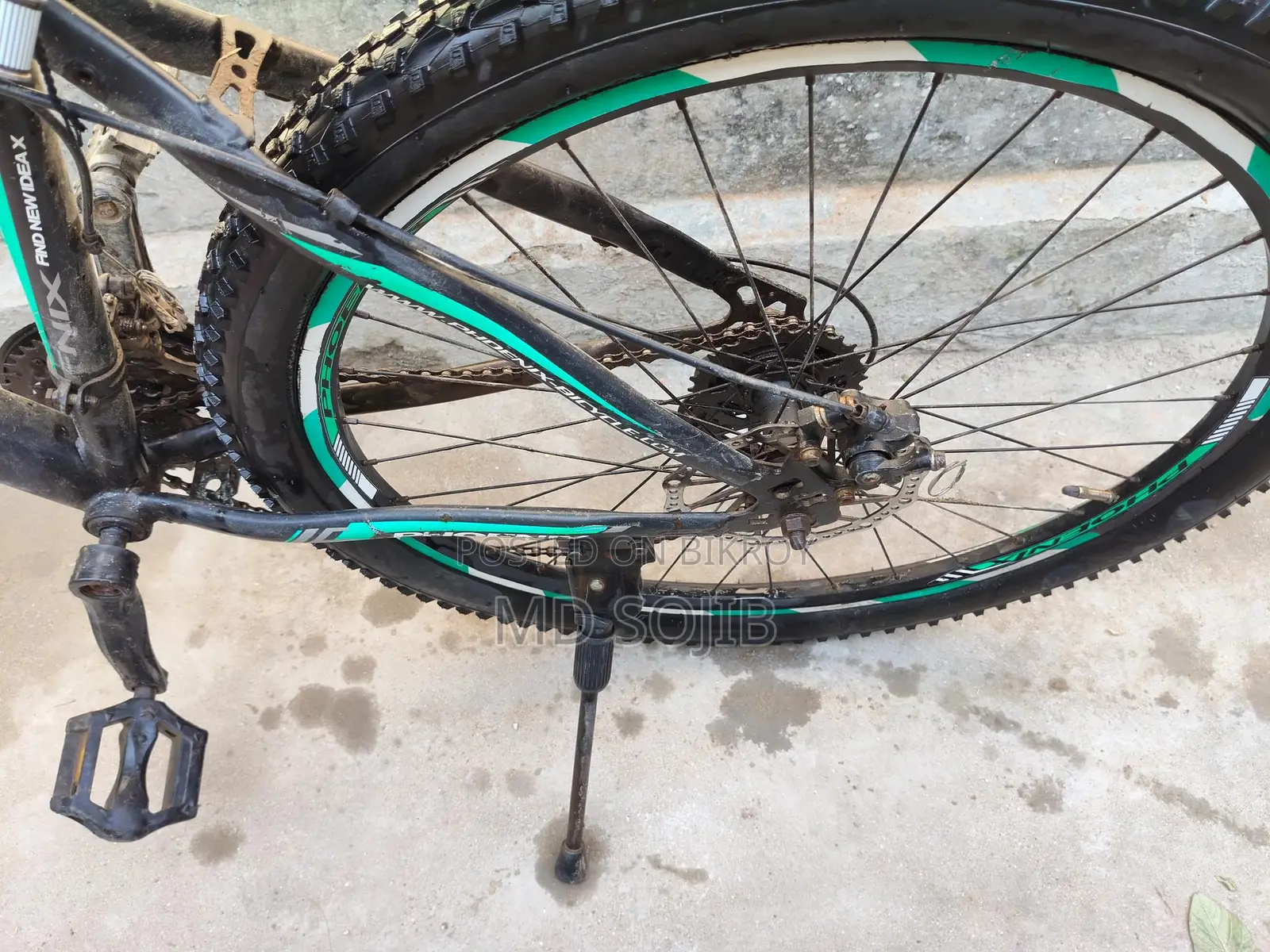 Phonex Cycle