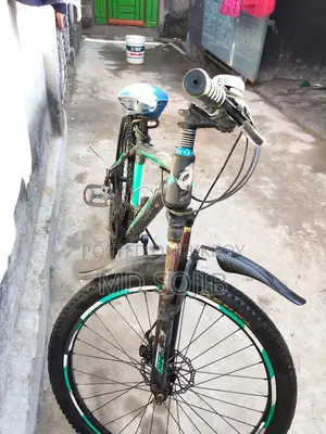 Phonex Cycle