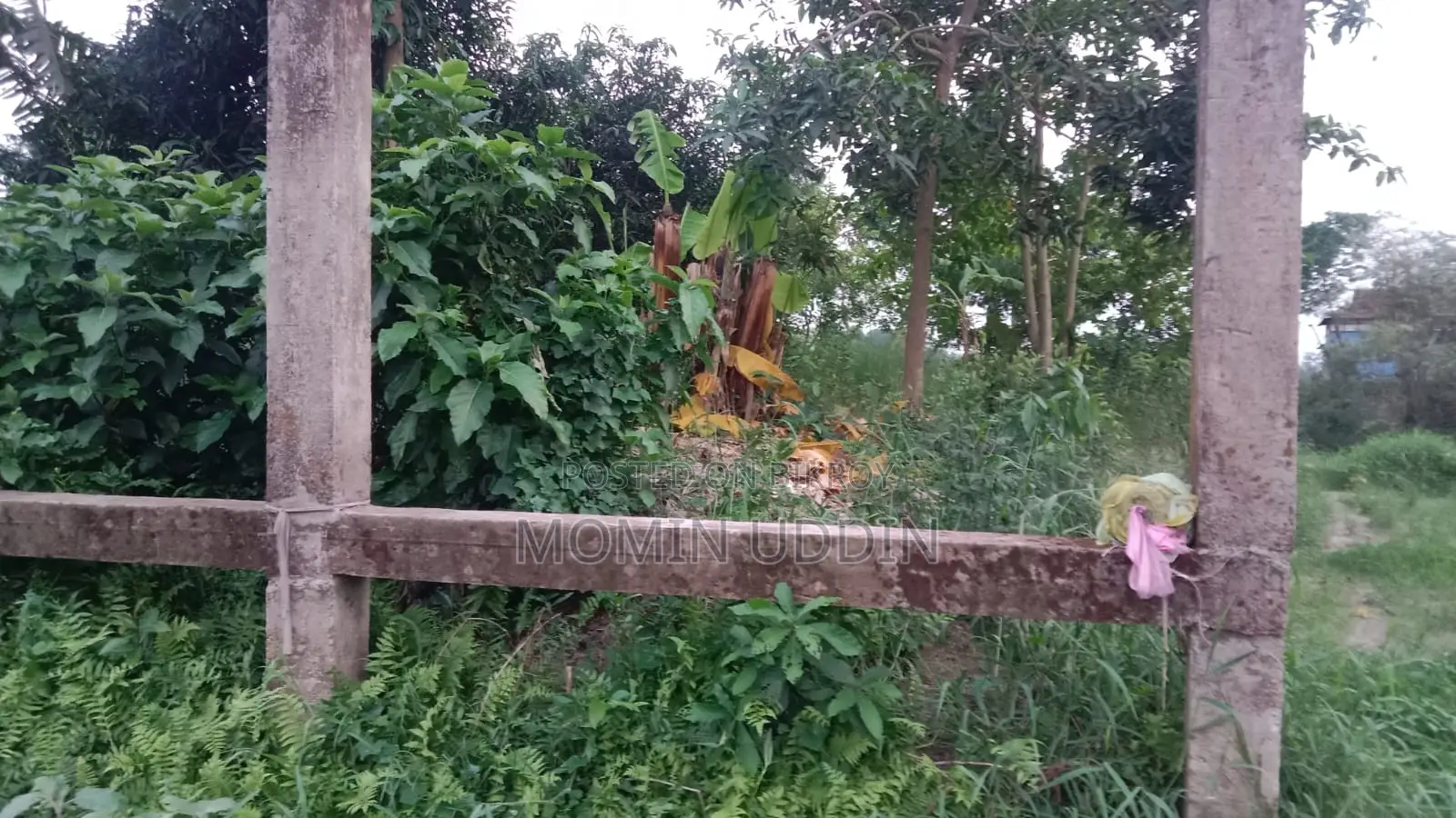 Land for Sale