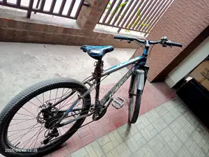 Cycle