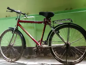 Ranger Max Cycle