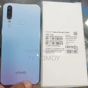 Vivo Y17 (Used)