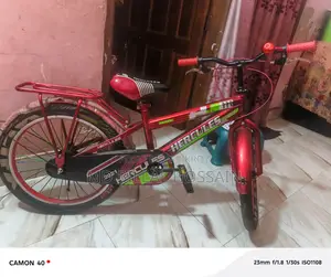 New Cycle