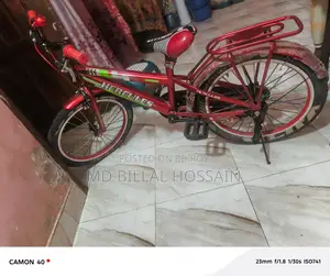New Cycle