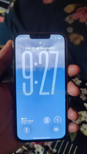 Apple iPhone 13 Pro 256 (Used)