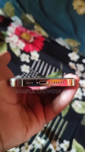 Apple iPhone 13 Pro 256 (Used)