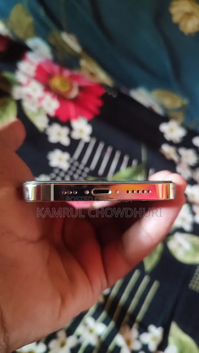 Apple iPhone 13 Pro 256 (Used)