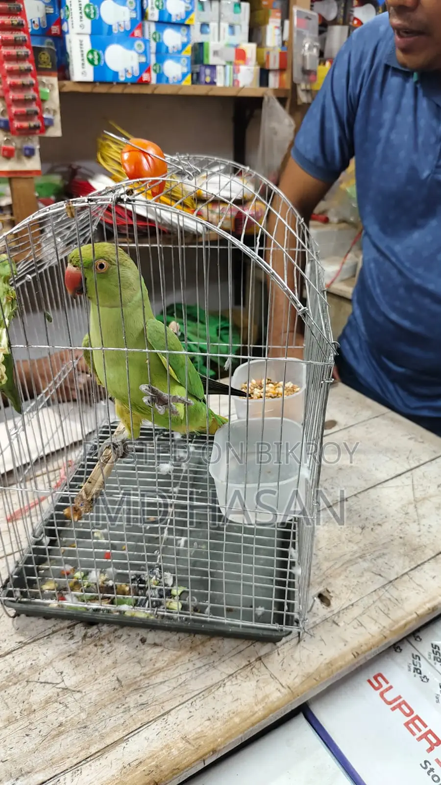 একটি টিয়া পাখি বিক্রয় হবে
