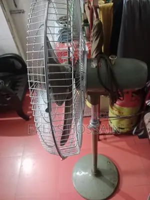 Fan Rental