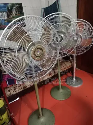 Fan Rental
