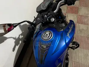 Bajaj Pulsar 250 2024