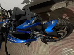 Bajaj Pulsar 250 2024