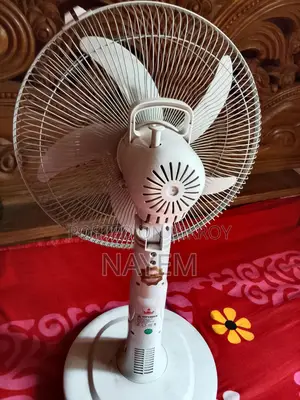 Rechargeable Fan