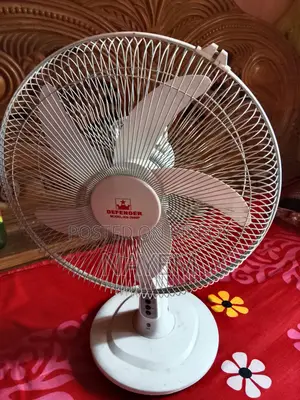 Rechargeable Fan