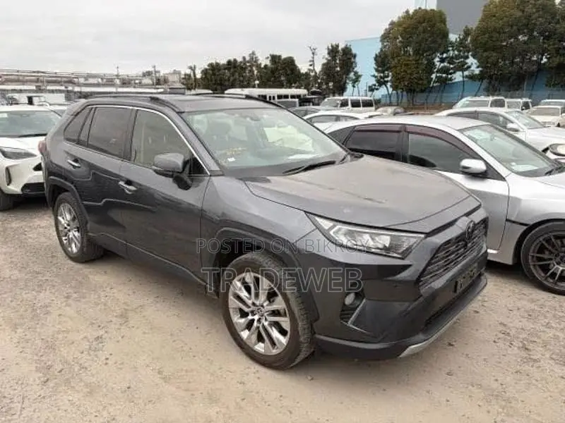 Toyota RAV4 GZ PACKAGE 4WD 2021
