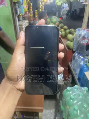 Apple iPhone 13 Pro Max (Used)