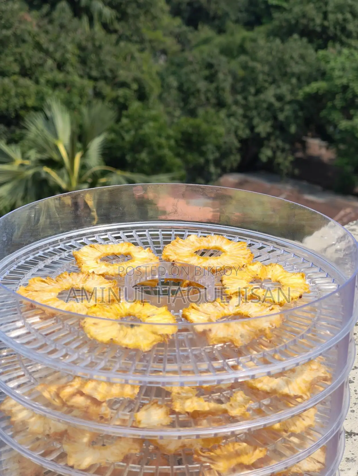 ১০০% হোমমেড ড্রাই পাইনাপেল