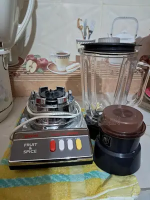 Sanyo Japanese Juicer and Mixer