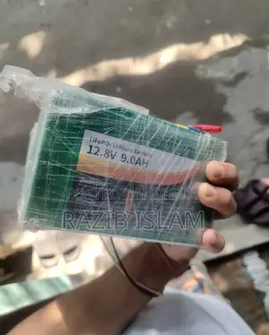 Lithium Iron Battery