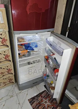 Walton Big Size Fridge