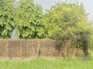 ফেনী মধুপুরে ৭ শতক পরিমাণ ভিটা শুধু জমি বিক্রয় করা হবে