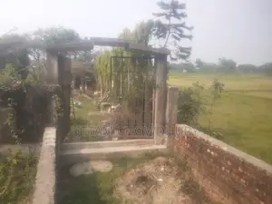 ফেনী মধুপুরে ৭ শতক পরিমাণ ভিটা শুধু জমি বিক্রয় করা হবে