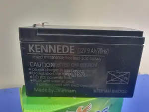 12 v bettary