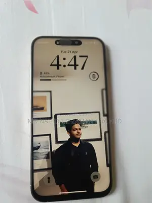 Apple iPhone 14 Pro Max only display changed (Used)