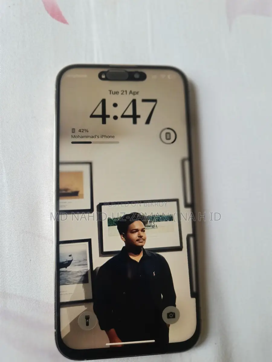 Apple iPhone 14 Pro Max only display changed (Used)