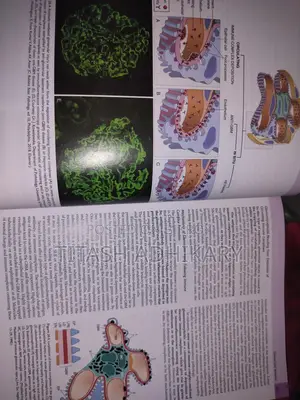 Robbins & Cotran Pathological Basis Of Disease, 10th Edition