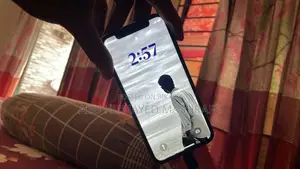Apple iPhone XS 256 gb (ব্যবহৃত)