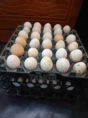 দেশি মুরগির ডিম