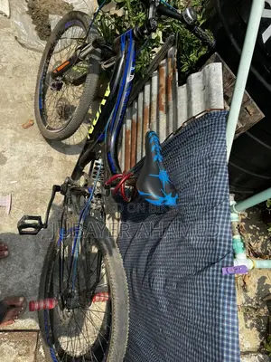 Avon Mountain Bike for Sale
