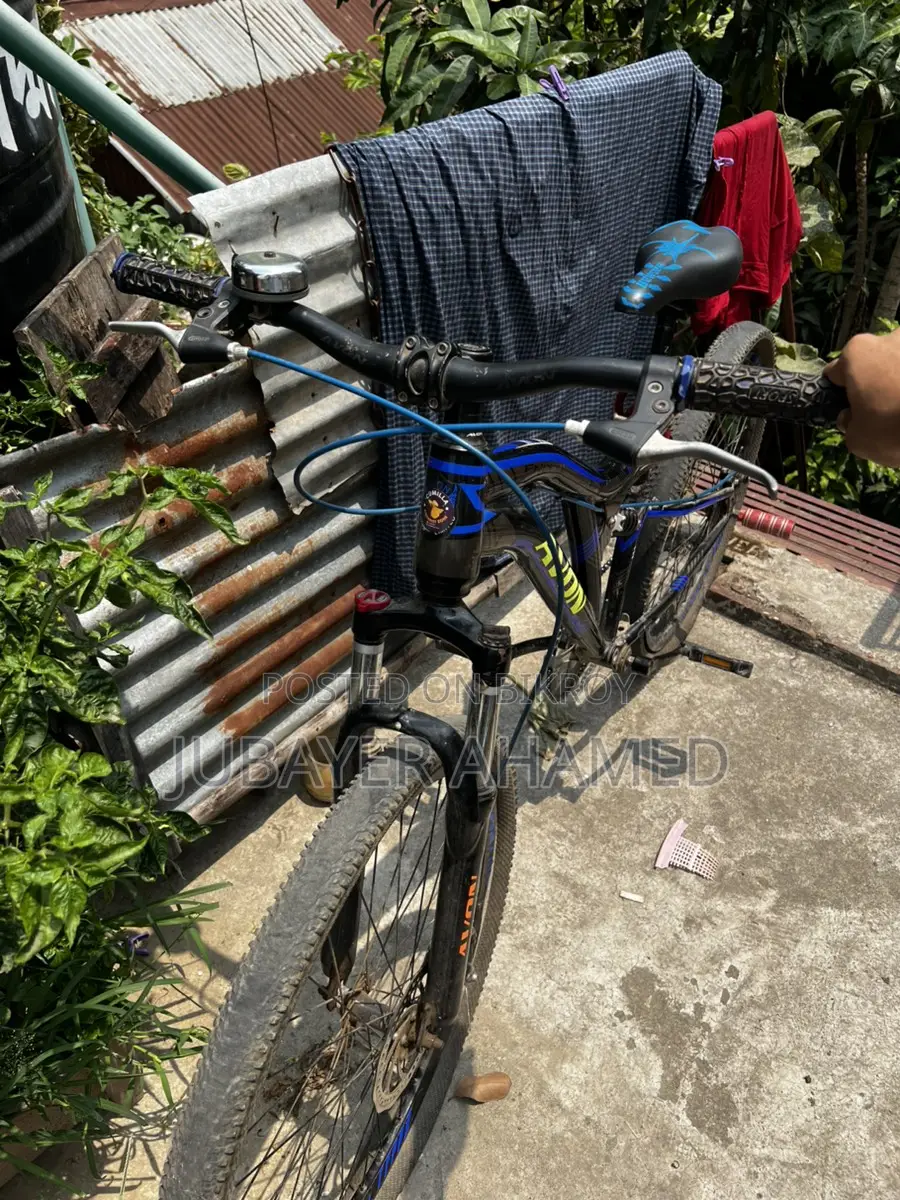 Avon Mountain Bike for Sale