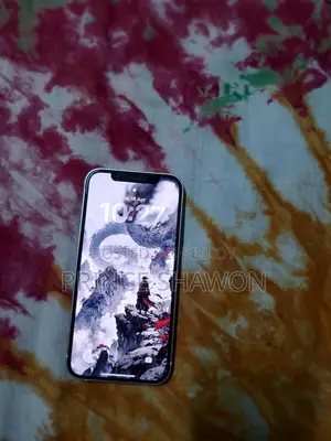 Apple iPhone 12 (Used)