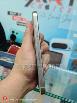 Apple iPhone 16 Pro Max 512 GB Gray