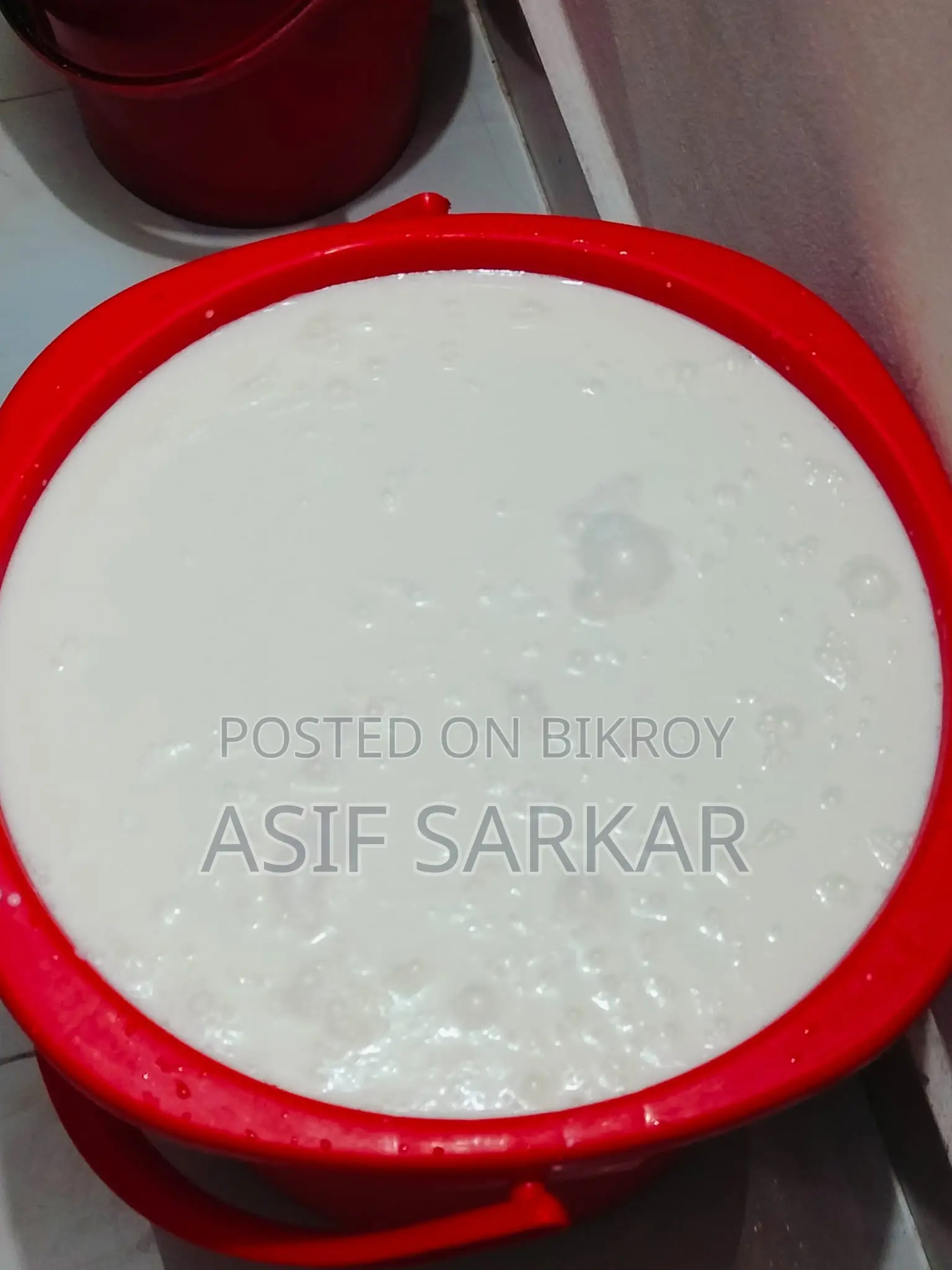 Pure Cow Milk from Pabna