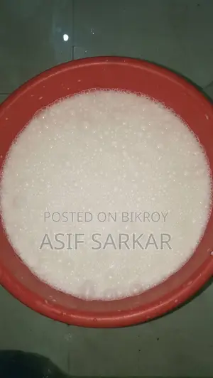 Pure Cow Milk from Pabna