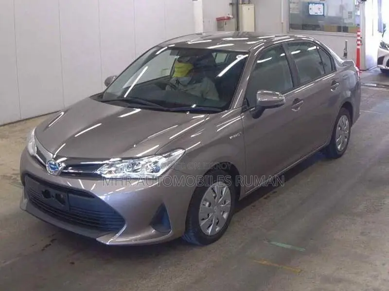 Toyota Axio EX PACKAGE 2020