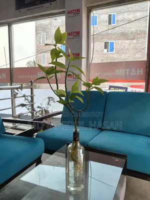 ঘর সাজান