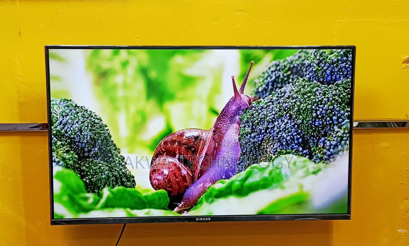 SINGER 43 Inch Android Frameless Voice Control TV