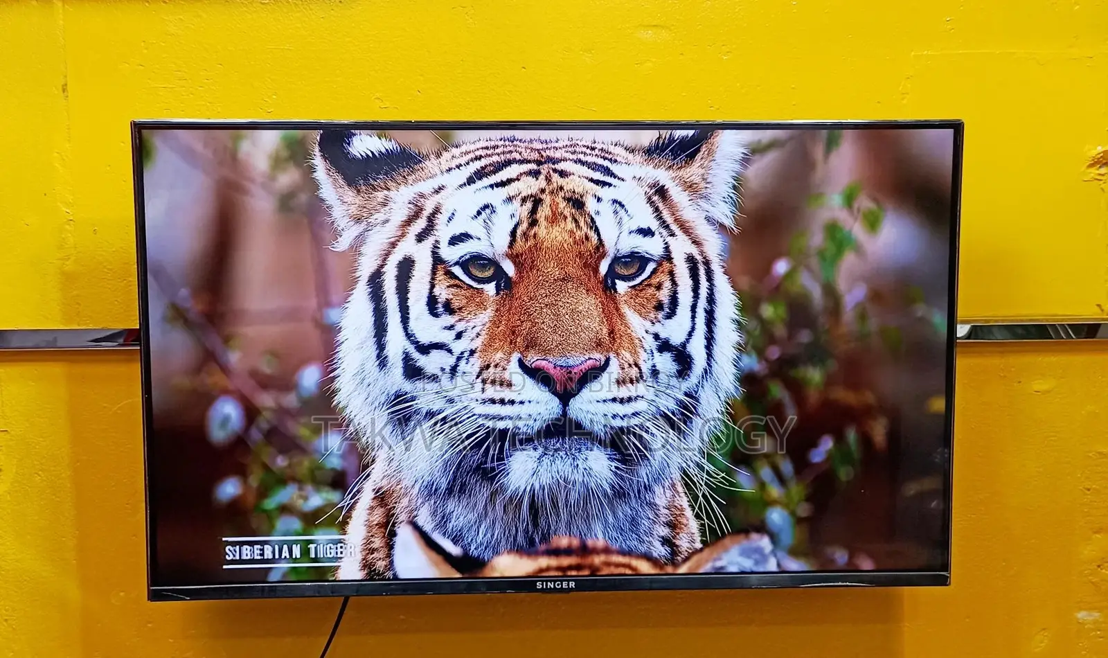 SINGER 43 Inch Android Frameless Voice Control TV